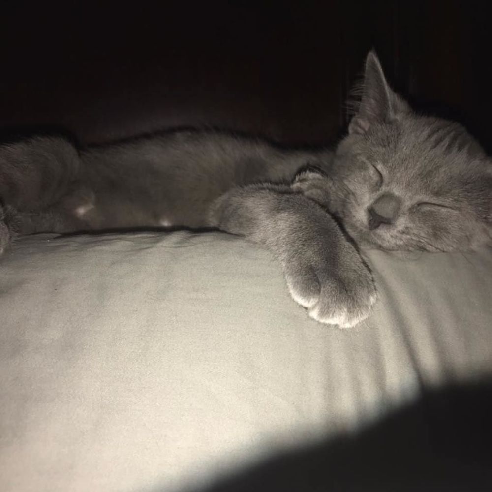 Meet your Posher, Melanie